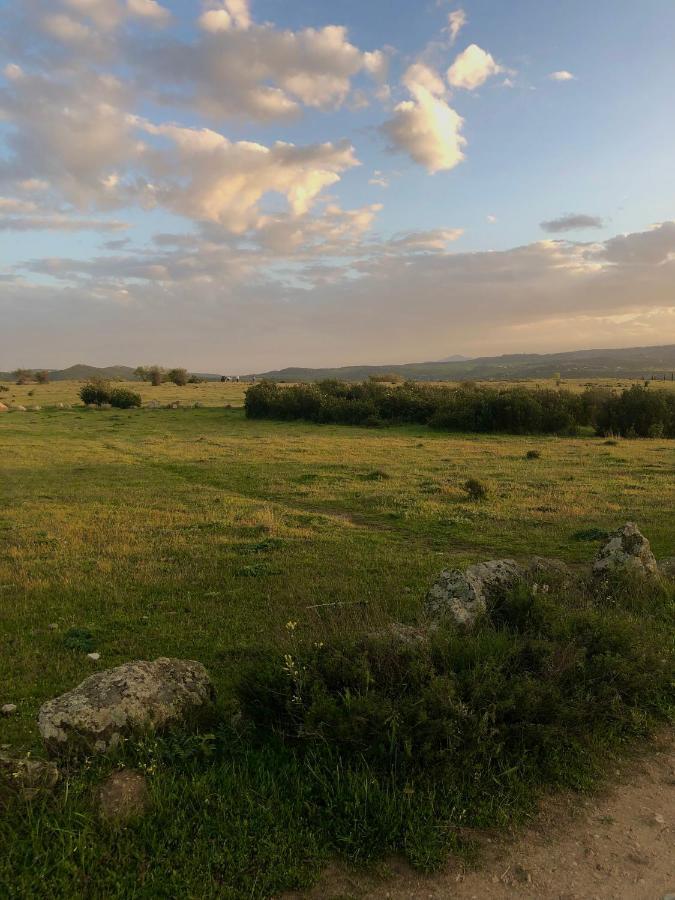 El Lago Cervera de Buitrago Zewnętrze zdjęcie